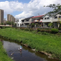 SONY(ソニー)のデジタルカメラサイバーショット DSC-WX200 で撮影した