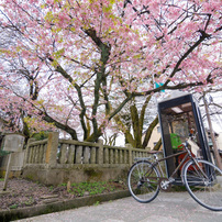 TOKINA(トキナー)のレンズ opera 16-28mm F2.8 FF [キヤノン用