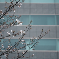 PENTAX(ペンタックス)のレンズ HD PENTAX-DA 70mmF2.4 Limited