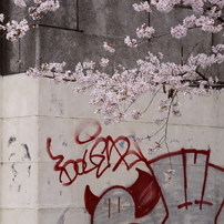 PENTAX(ペンタックス)のレンズ HD PENTAX-DA 70mmF2.4 Limited