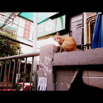 Khaosan road  Ⅶ