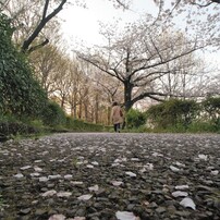 TAMRON(タムロン)のレンズ SP AF11-18mm F/4.5-5.6 Di II LD