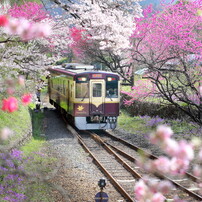 春の情景