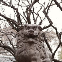 狛犬_新井天神北野神社