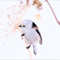 少しそこに居てくれよ