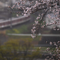 KENKO(ケンコー)のレンズ ミラーレンズ 400mm F8 N II S KF-M400NZIIS