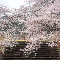 CANON(キヤノン)のレンズ EF17-35mm F2.8L USM で撮影した写真(画像