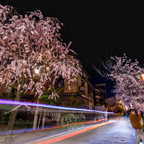 TOKINA(トキナー)のレンズ opera 16-28mm F2.8 FF [キヤノン用