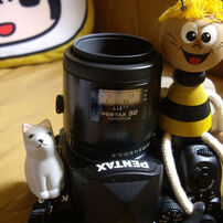 人気色✨PENTAX Optio s10✨動作確認済 スマホ転送OK 希少品♪ PENTAX Optio S10の動画 - 200years: