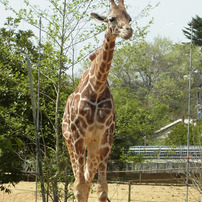 動物園