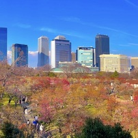 20230223大阪城公園梅林