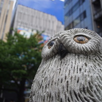 PENTAX(ペンタックス)のレンズ smc P-A 28mmF2.8 で撮影した写真