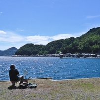 SONY(ソニー)のデジタルカメラサイバーショット DSC-W550 で撮影した