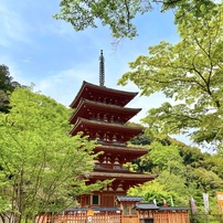20230418長谷寺風情-2