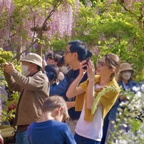20230423万葉植物園-2