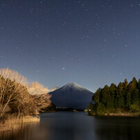 TOKINA(トキナー)のレンズ AT-X 116 PRO DX II 11-16mm F2.8 [ニコン用
