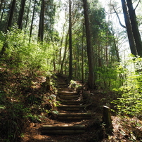 岩湧山・きゅうざかの道 往復 6 of 12 _20230427