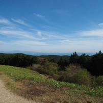 岩湧山・きゅうざかの道 往復 10 of 12 _20230427