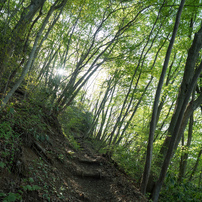 岩湧山・きゅうざかの道 往復 11 of 12 _20230427
