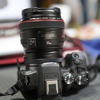 SONY(ソニー)のレンズ Planar T* FE 50mm F1.4 ZA SEL50F14Z で撮影