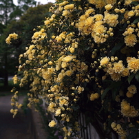 写真句：春暮れる