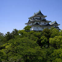 Wakayama Castle Greeen!!! 2023