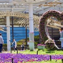 20230502長居公園新緑