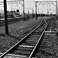 CANON(キヤノン)のデジタルカメラPowerShot G2 で撮影した写真(画像