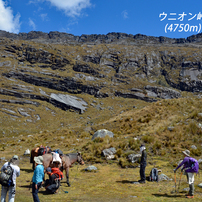 ペルー・アンデス　ブランカ山群トレッキング2015(39)