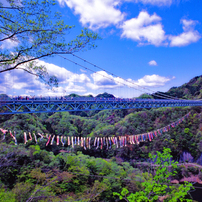 CANON(キヤノン)のレンズ EF20mm F2.8 USM で撮影した写真(画像)一覧