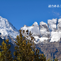 中国・梅里雪山内院トレッキング2015：4日目(21)