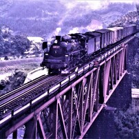 MAMIYA(マミヤ)のフィルムカメラC330 で撮影した写真(画像)一覧