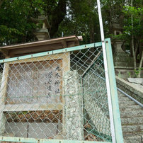 オハイ【三重県尾鷲市九鬼町大配海岸】 2 of 10_20230527