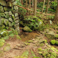 オハイ【三重県尾鷲市九鬼町大配海岸】 3 of 10_20230527