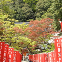 信貴毘沙門