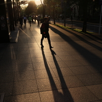 CANON(キヤノン)のレンズ EF28mm F2.8 IS USM で撮影した写真