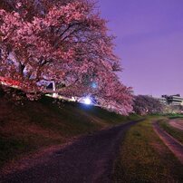 夜撮001