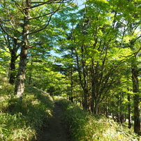 2023初夏・大台ヶ原 2 of 13