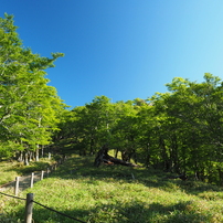 2023初夏・大台ヶ原 3 of 13