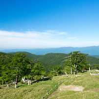 2023初夏・大台ヶ原 5 of 13