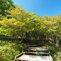 2023初夏・大台ヶ原 7 of 13