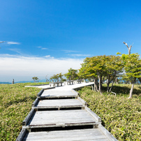 P6170222