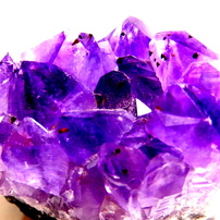 SP820UZ❤️野球や運動会撮影に❤️超望遠896mm❤️スマホ、iPadに写真転送 Amazon | Olympus SP-820UZ - Digital camera - compact - 14.0 MP