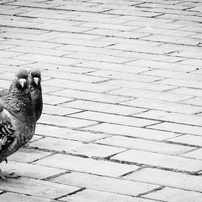 NIKON(ニコン)のデジタルカメラCOOLPIX S9700 で撮影した写真(画像