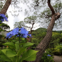 TAMRON(タムロン)のレンズ SP AF 17-35mm F/2.8-4 Di LD