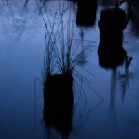 Silence