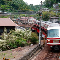 特急こうや by j.enamay （ID：11869328） - 写真共有サイト:PHOTOHITO