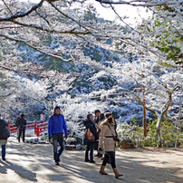 宮島・弥山(みせん)2015：しま山100選・広島県廿日市市B