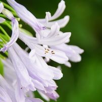 TAMRON(タムロン)のレンズ AF18-250mm F/3.5-6.3 Di II LD Aspherical