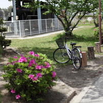 休日の自転車